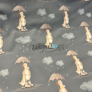 Softshell zimní mummy duck steel